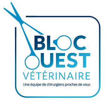 logo-bloc-ouest-veterinaire-home